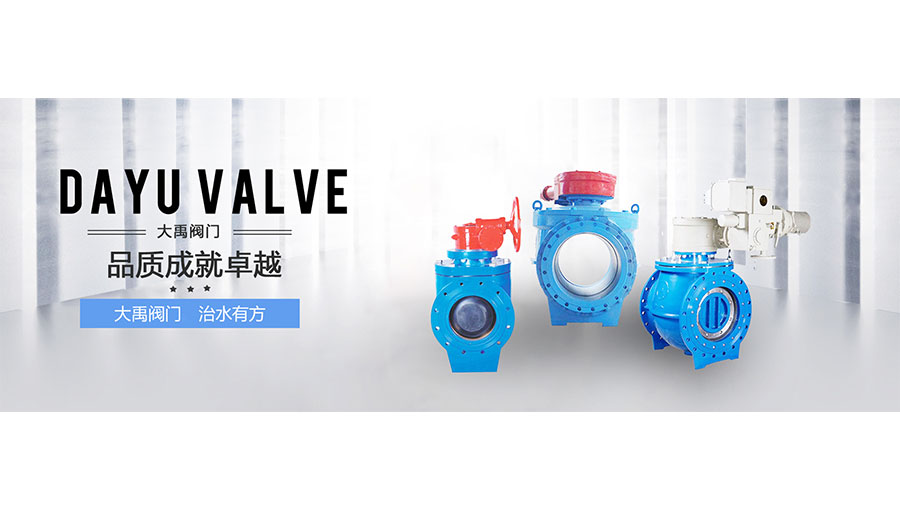 /static/active/2021315/dayu-valve-2.jpg